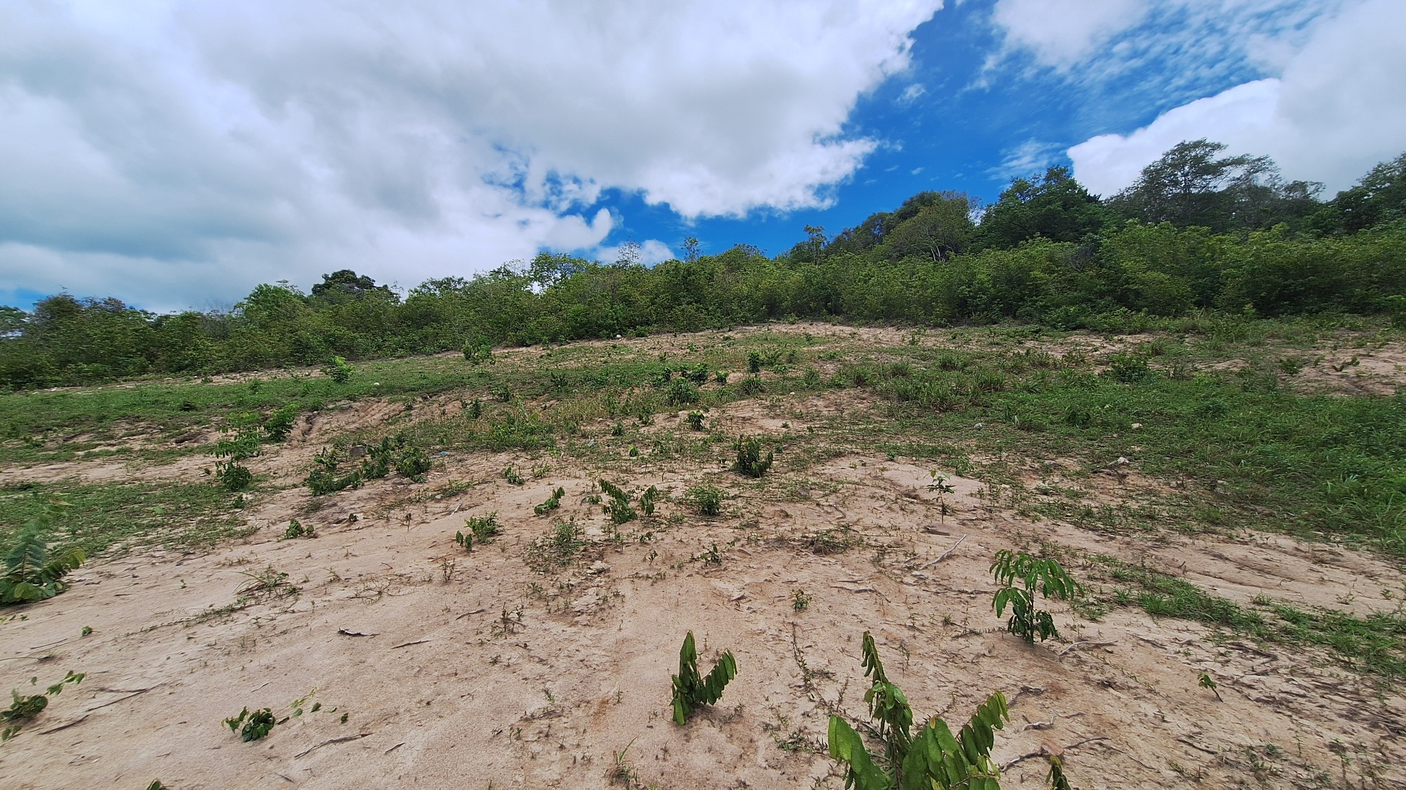Terreno di Bophut con rilievo agevole e vista mare